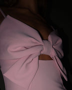Papillon Dress blush