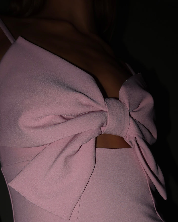 Papillon Dress blush