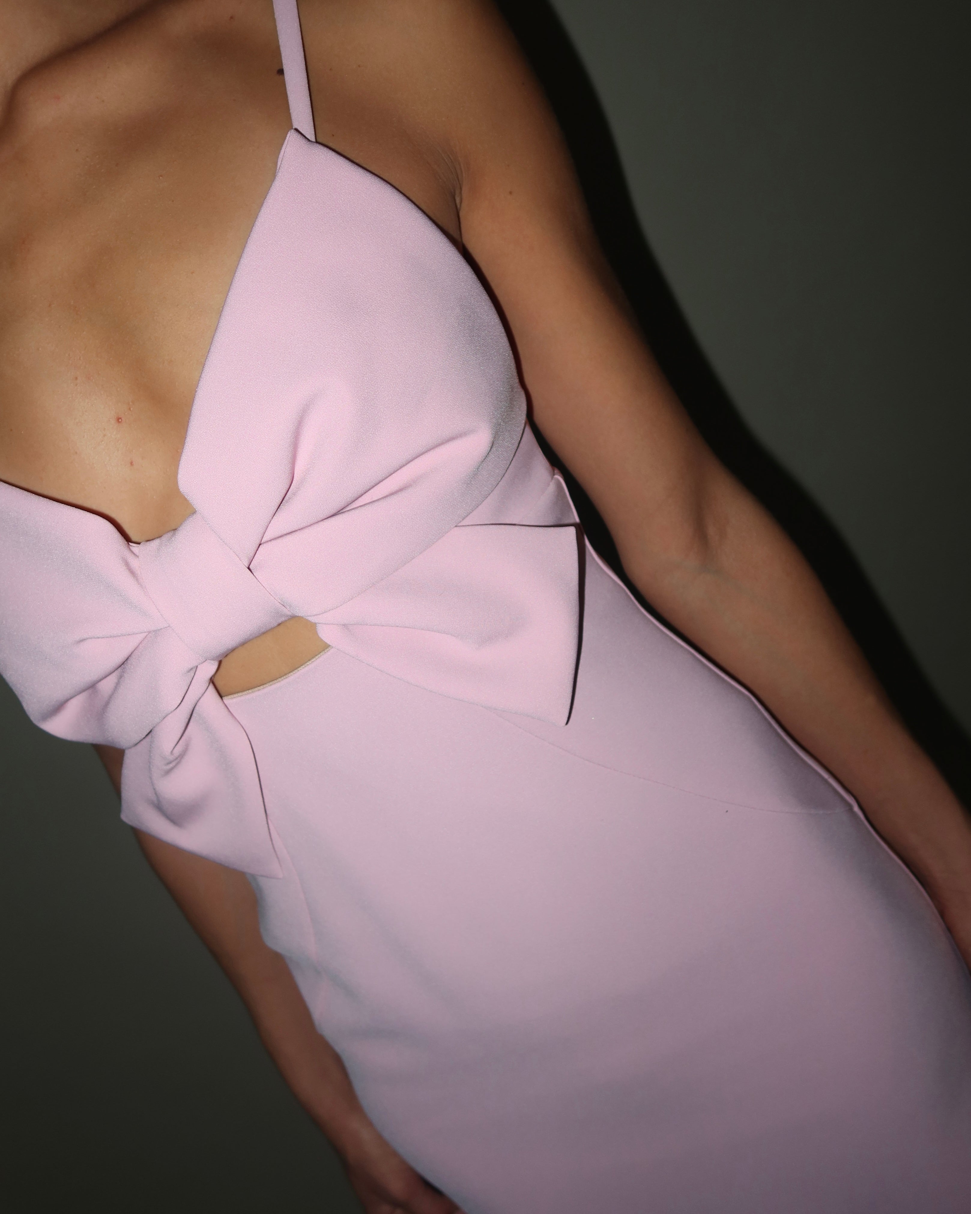 Papillon Dress blush