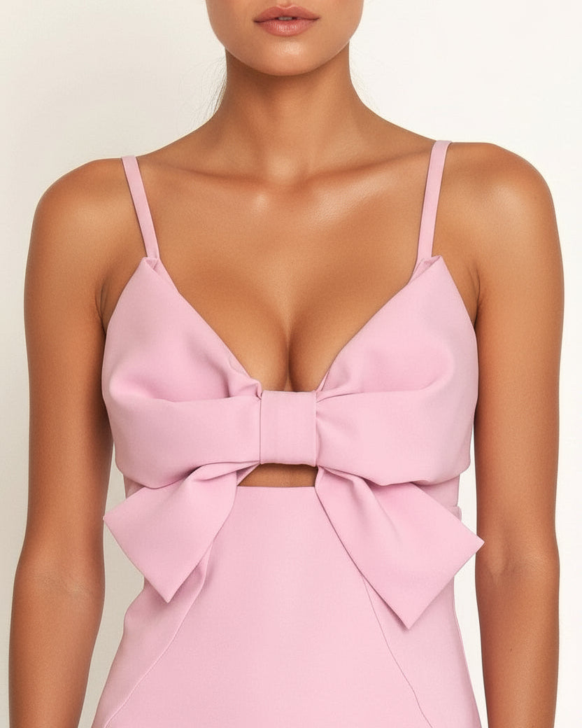 Papillon Dress blush